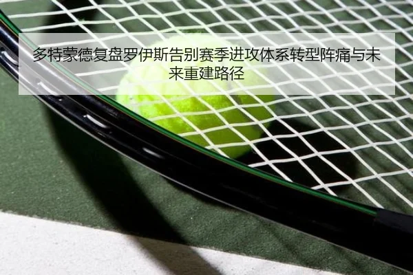多特蒙德复盘罗伊斯告别赛季进攻体系转型阵痛与未来重建路径