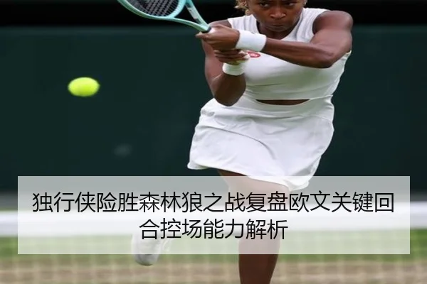 独行侠险胜森林狼之战复盘欧文关键回合控场能力解析